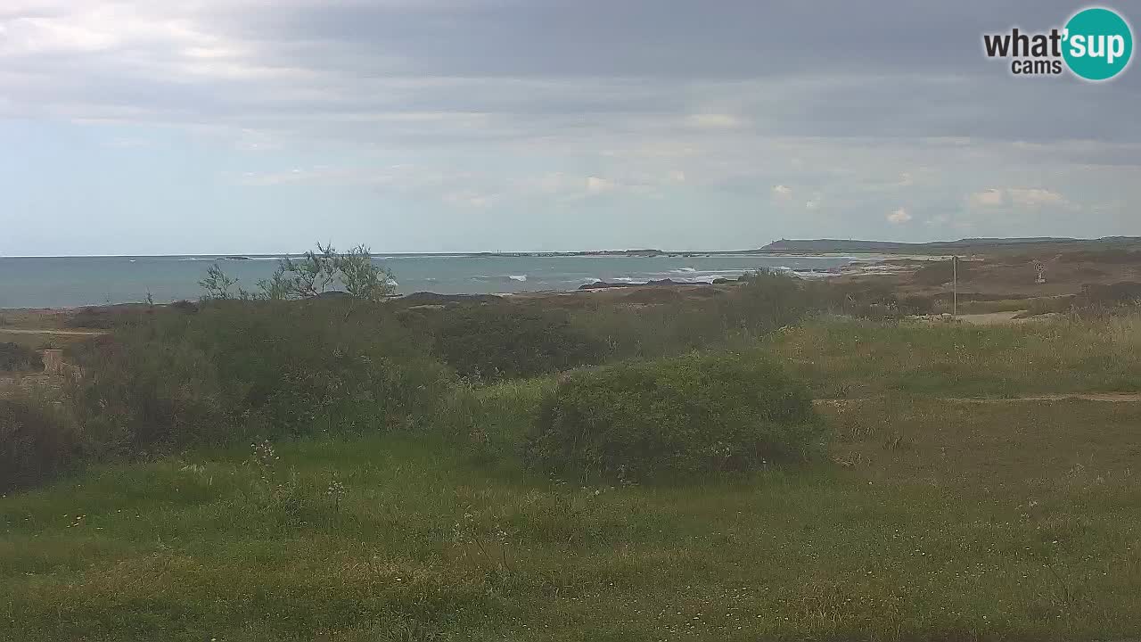 Mari Ermi Strand | Is Arutas – Oristano