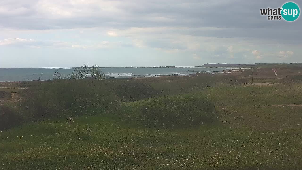 Spiaggia Mari Ermi | Is Arutas – Oristano