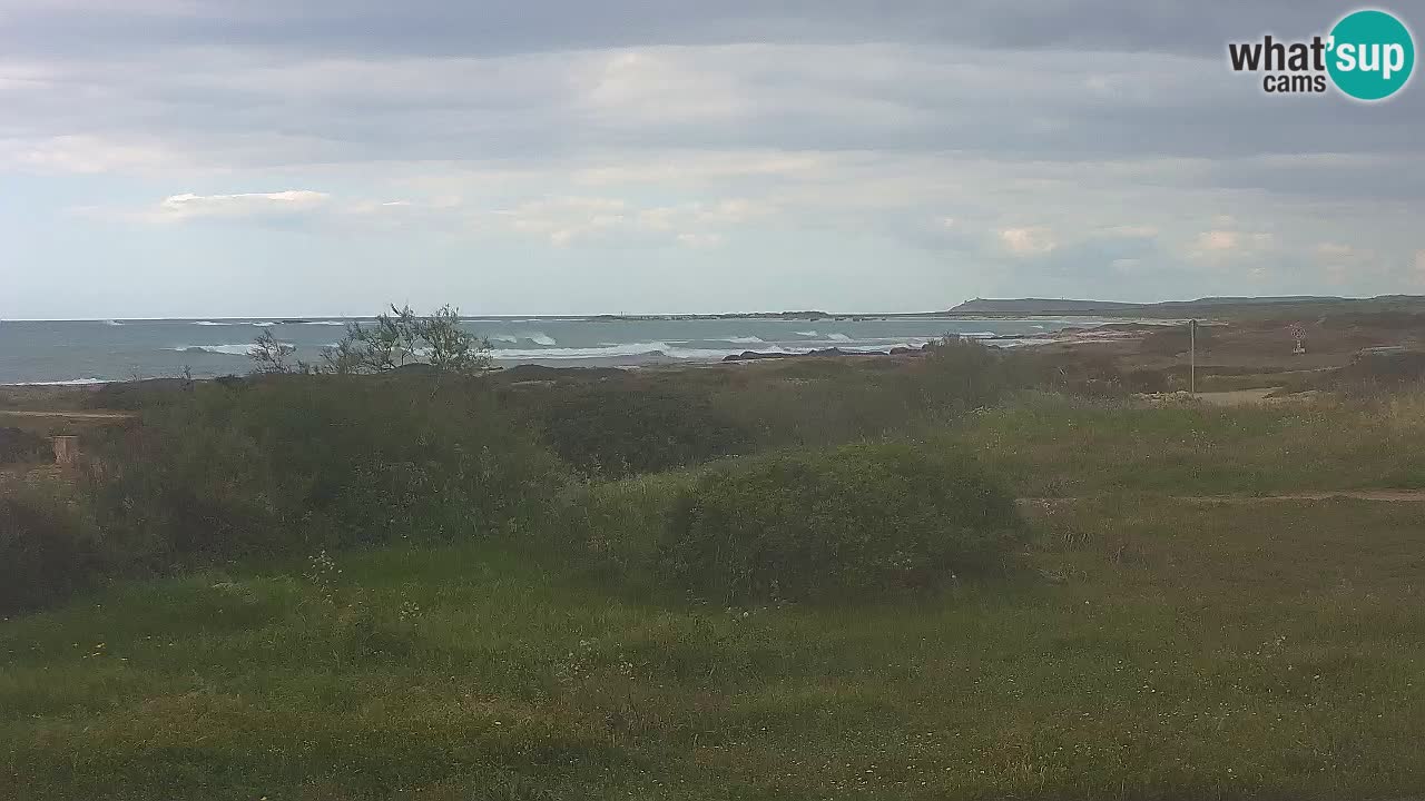 Spiaggia Mari Ermi | Is Arutas – Oristano