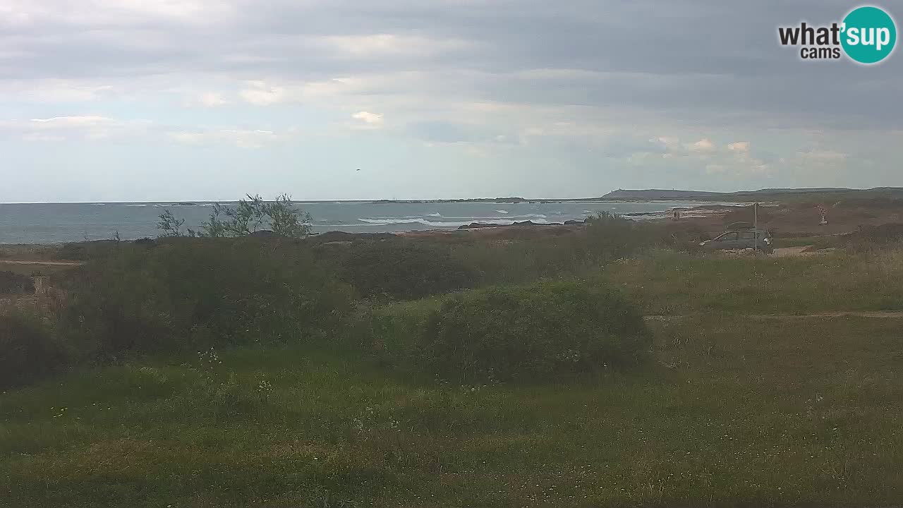 Playa Mari Ermi | Is Arutas – Oristano