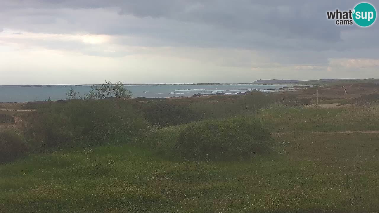 Mari Ermi Strand | Is Arutas – Oristano