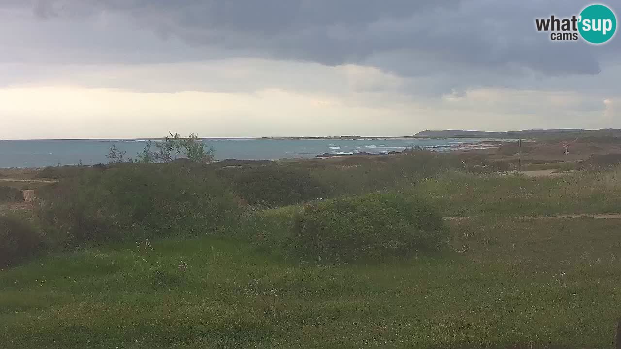 Plaža Mari Ermi | Is Arutas – Oristano