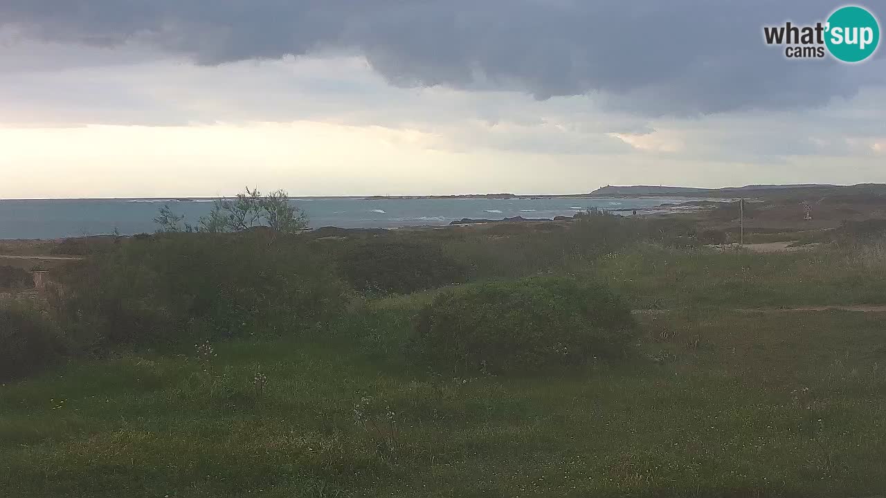 Spiaggia Mari Ermi | Is Arutas – Oristano