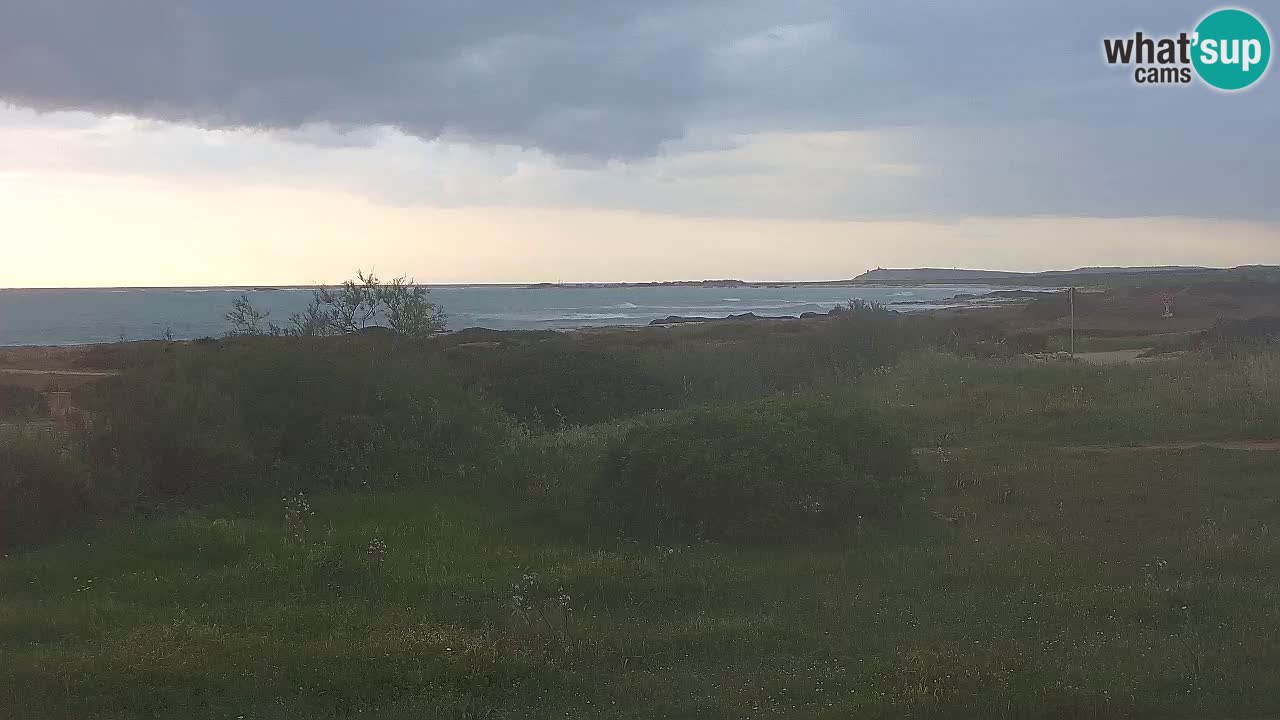 Playa Mari Ermi | Is Arutas – Oristano