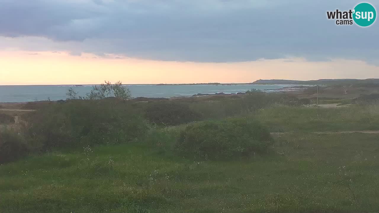 Mari Ermi Strand | Is Arutas – Oristano