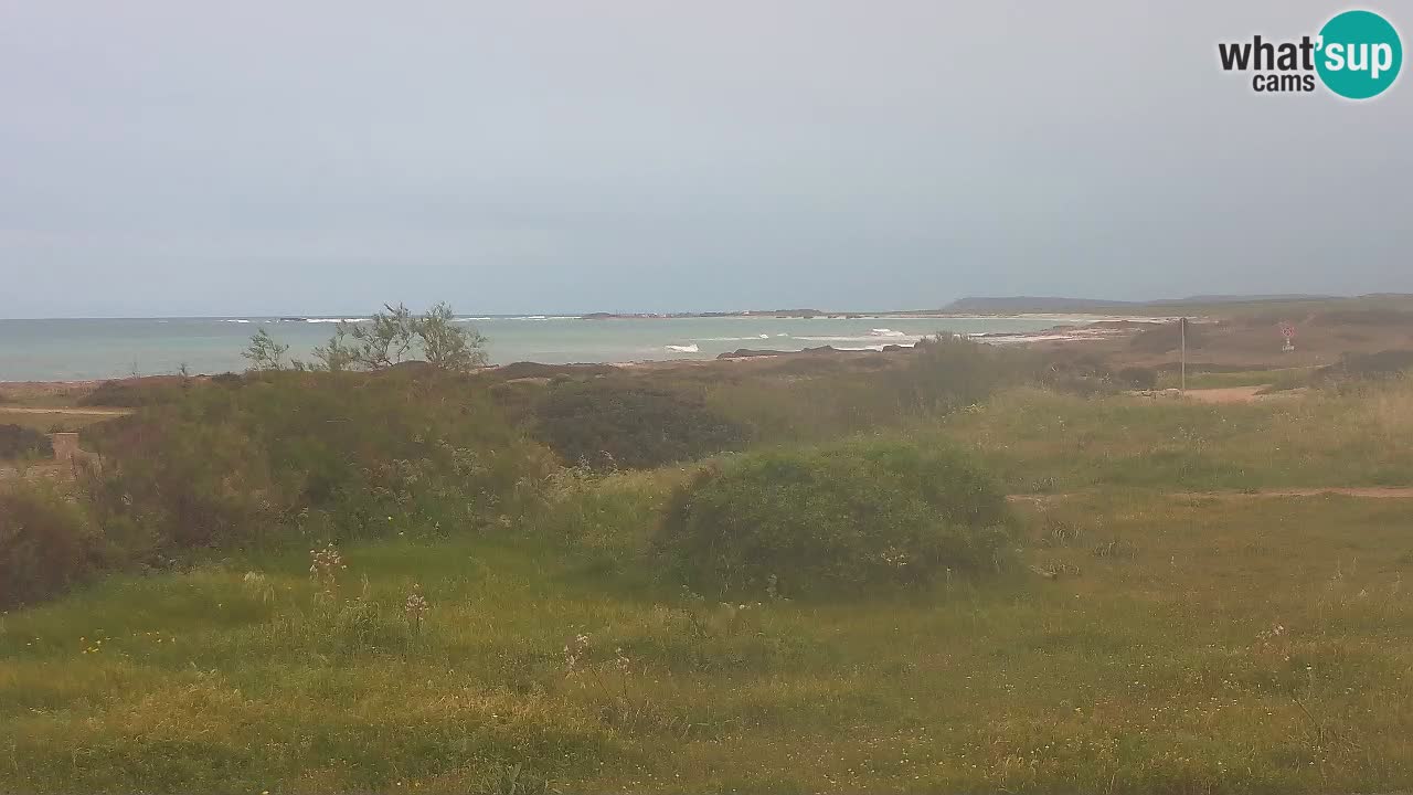 Plaža Mari Ermi | Is Arutas – Oristano