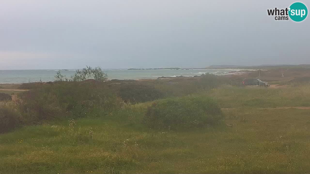 Spiaggia Mari Ermi | Is Arutas – Oristano