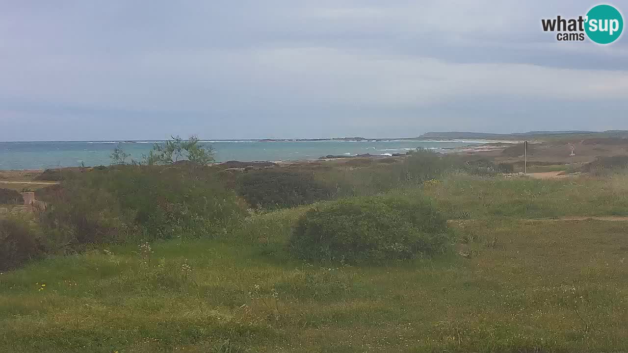 Playa Mari Ermi | Is Arutas – Oristano