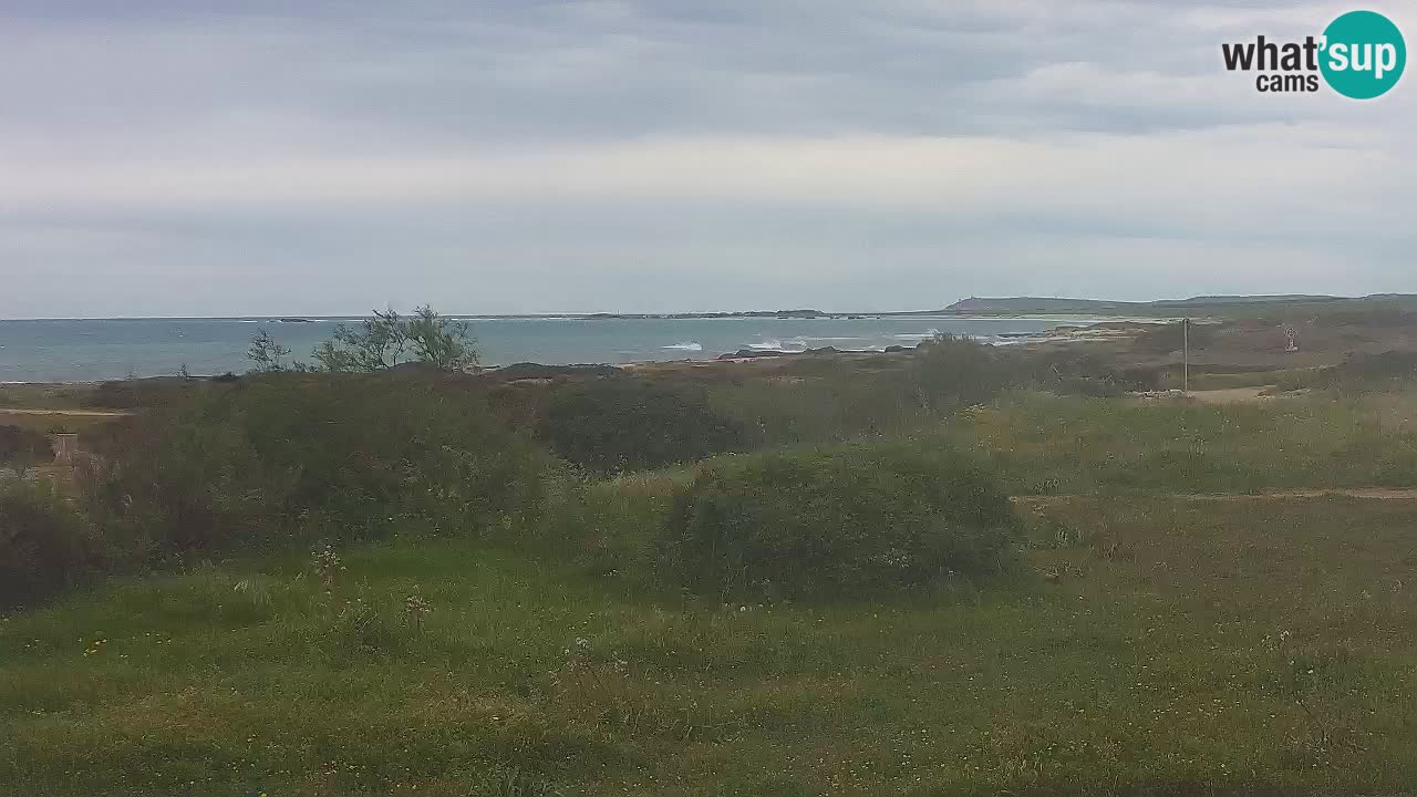 Plaža Mari Ermi | Is Arutas – Oristano