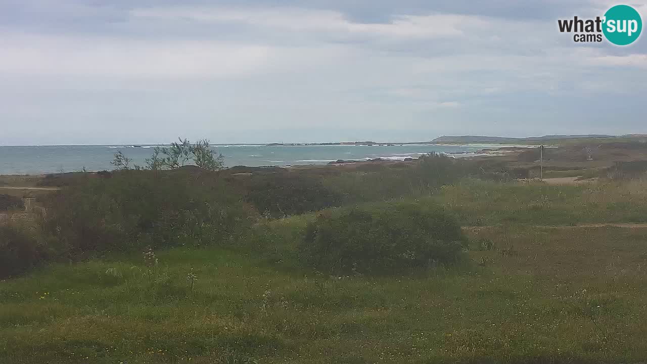 Plaža Mari Ermi | Is Arutas – Oristano