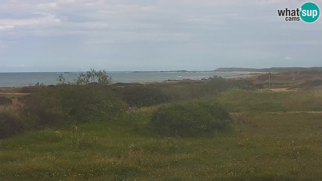 Plaža Mari Ermi | Is Arutas – Oristano