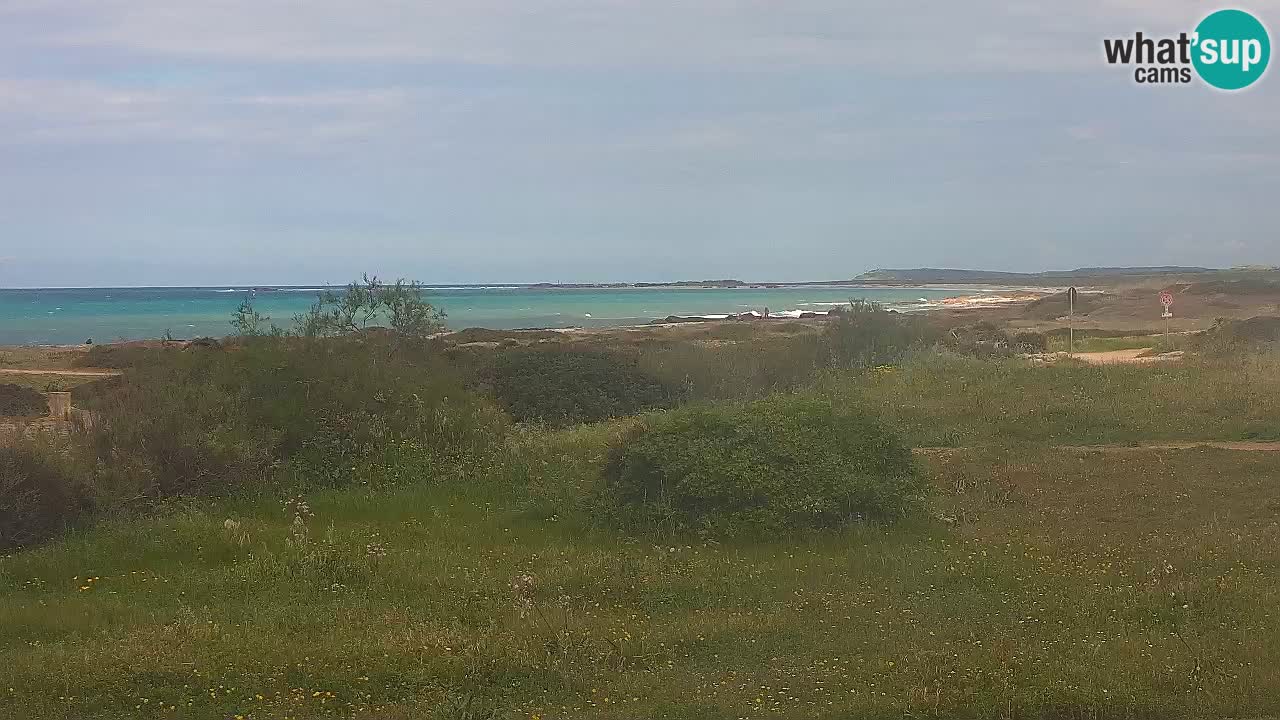 Plaža Mari Ermi | Is Arutas – Oristano