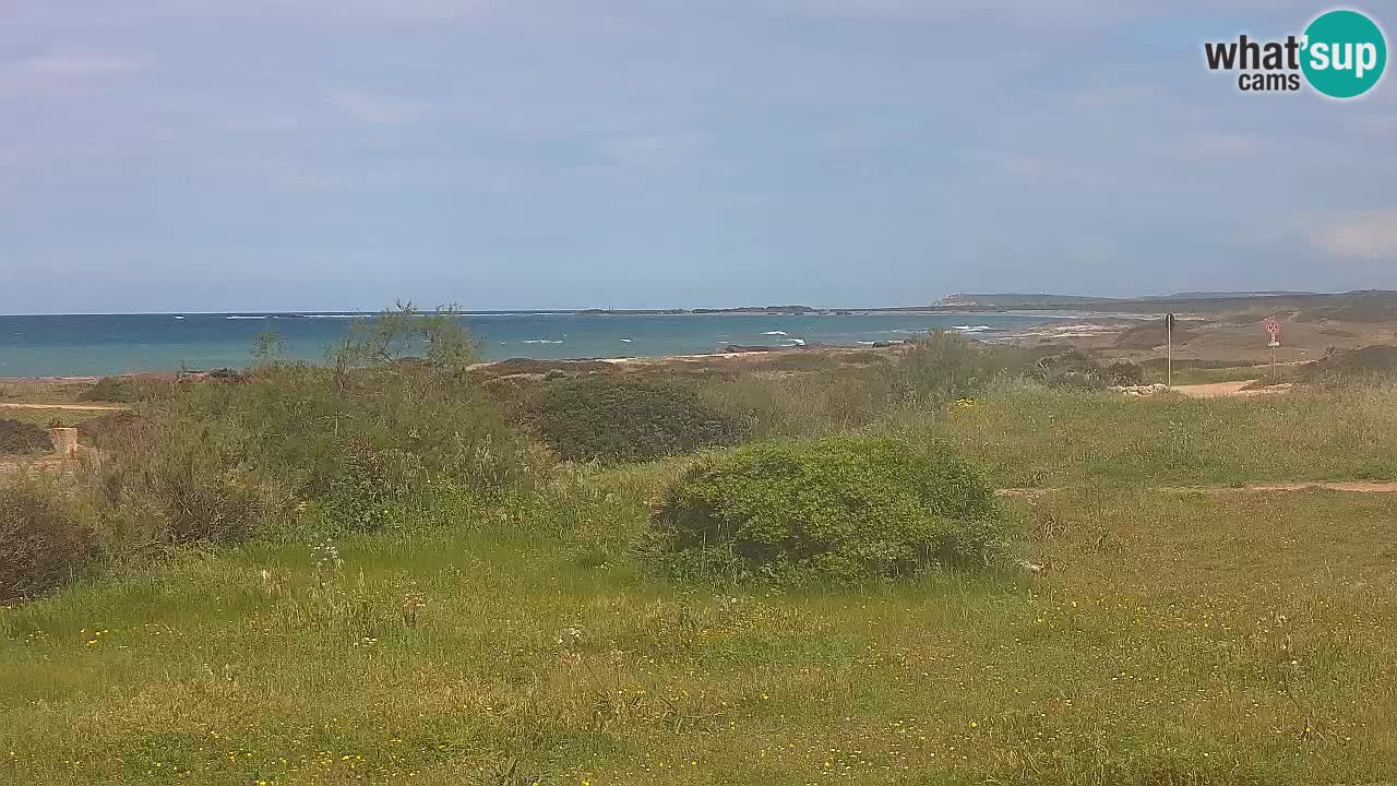 Playa Mari Ermi | Is Arutas – Oristano