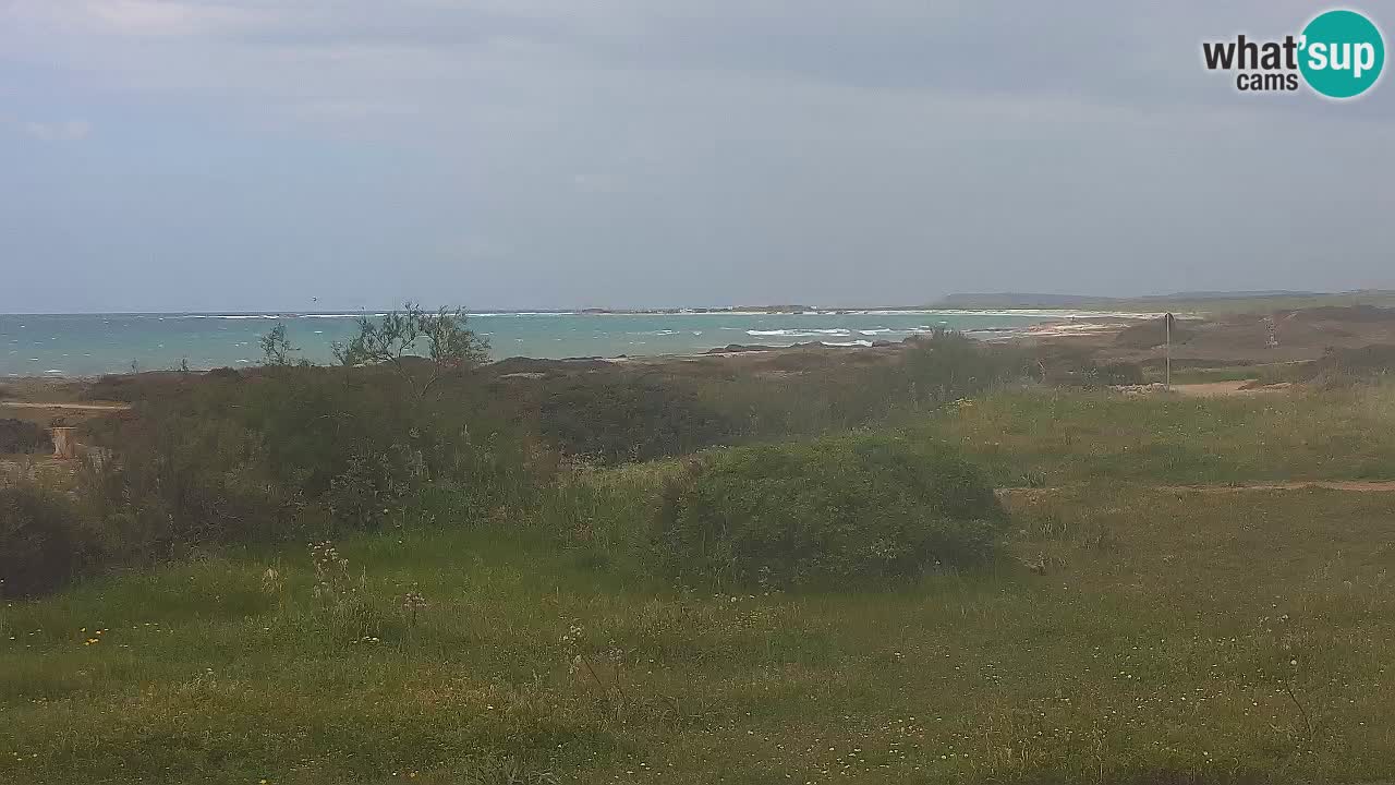 Plaža Mari Ermi | Is Arutas – Oristano