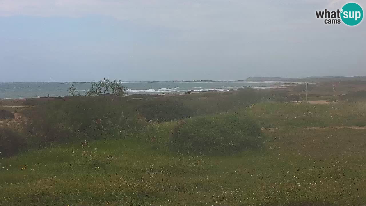 Plaža Mari Ermi | Is Arutas – Oristano