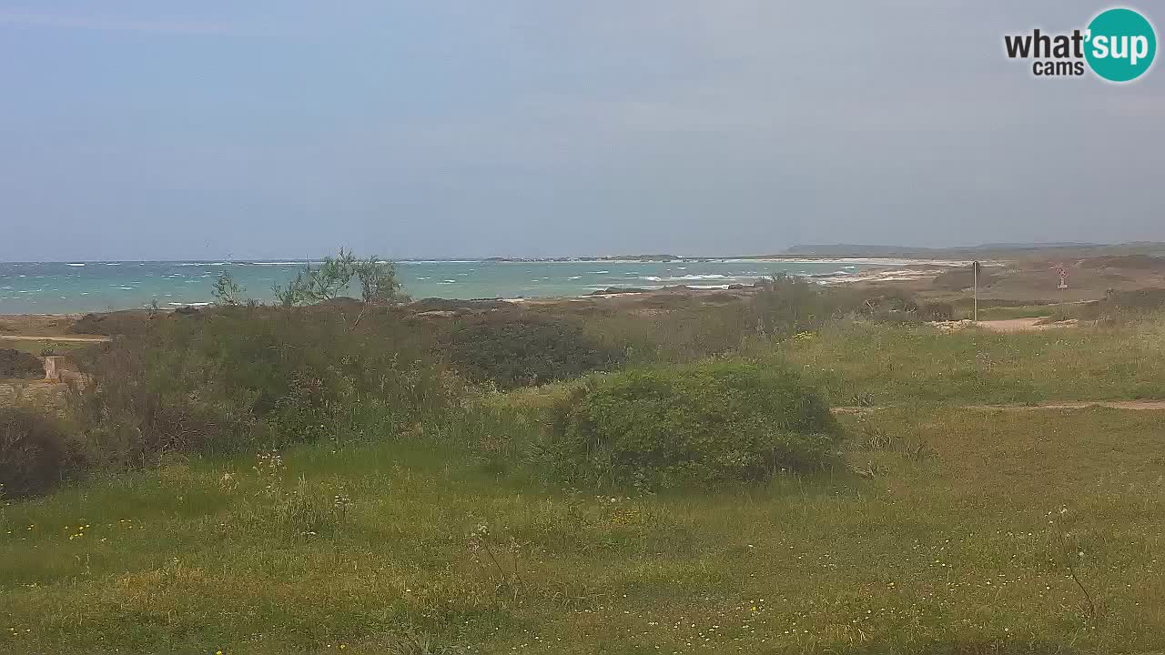 Mari Ermi beach | Is Arutas – Oristano