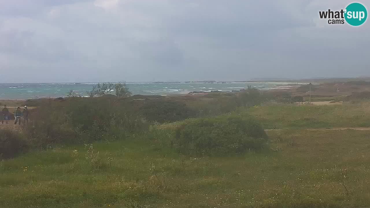 Plaža Mari Ermi | Is Arutas – Oristano