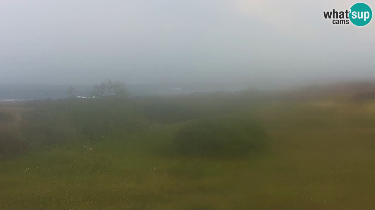 Mari Ermi Strand | Is Arutas – Oristano