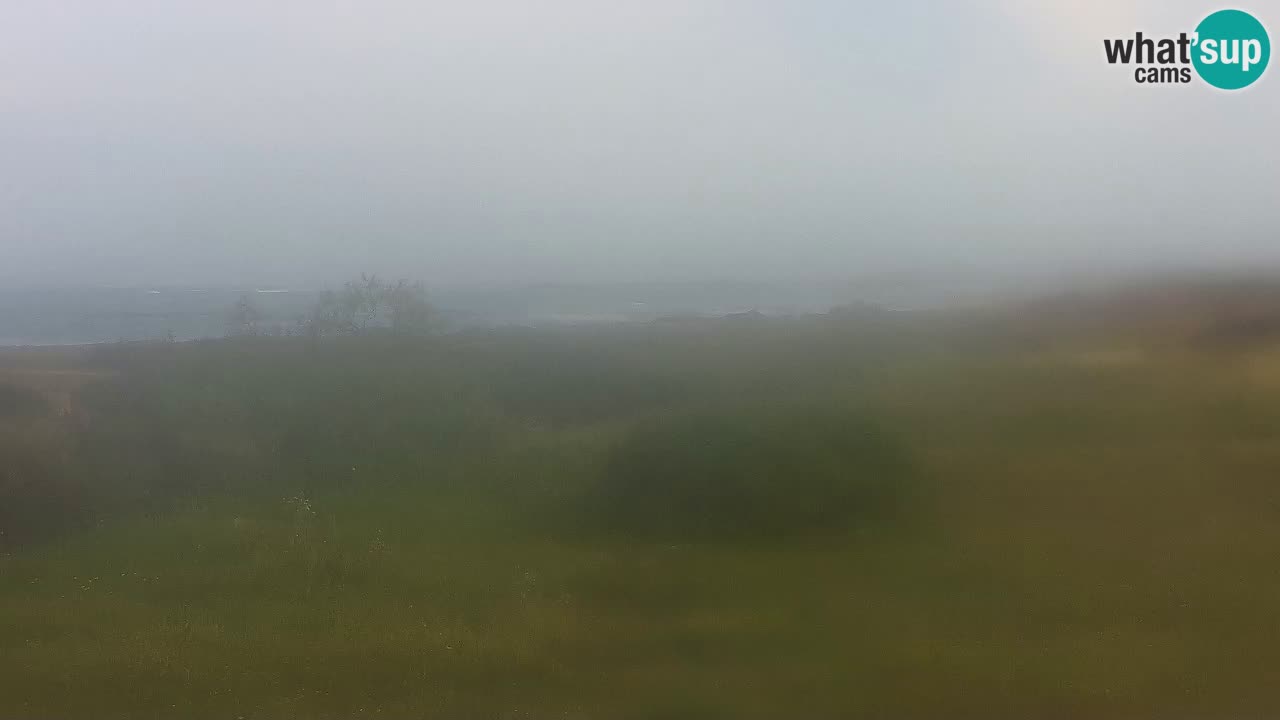 Playa Mari Ermi | Is Arutas – Oristano