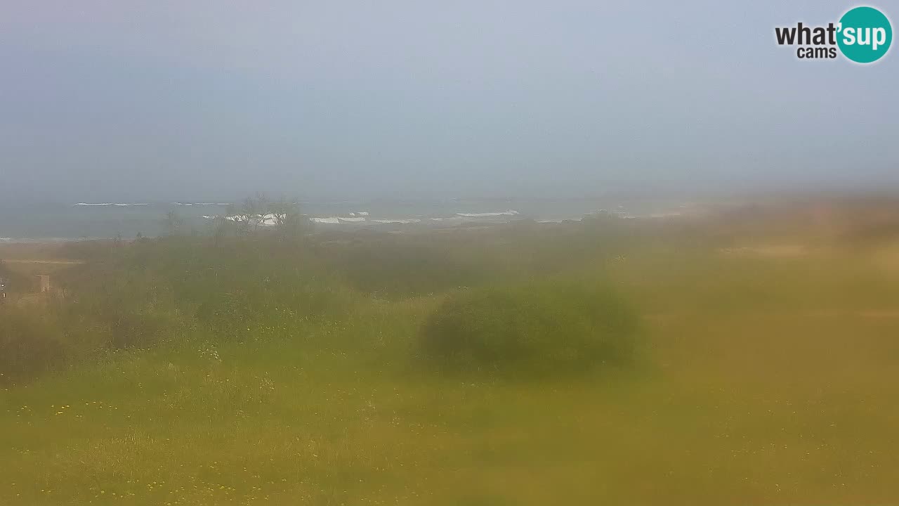 Mari Ermi Strand | Is Arutas – Oristano