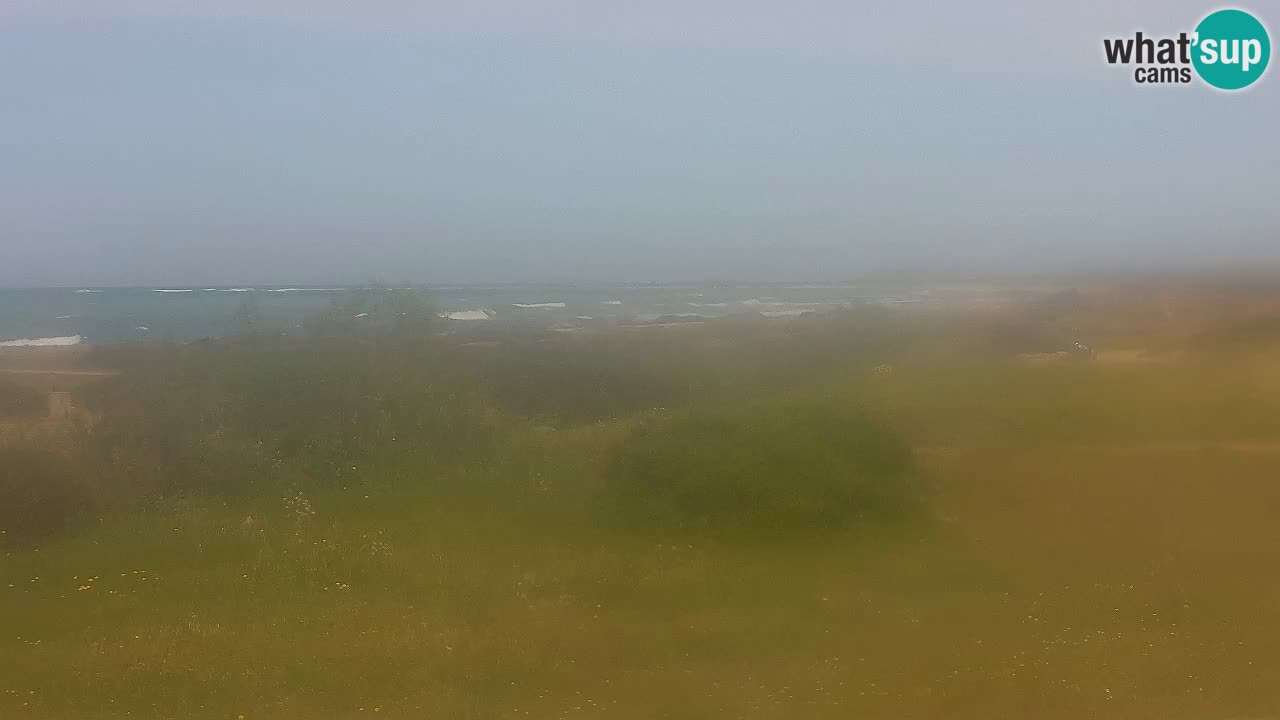 Mari Ermi Strand | Is Arutas – Oristano