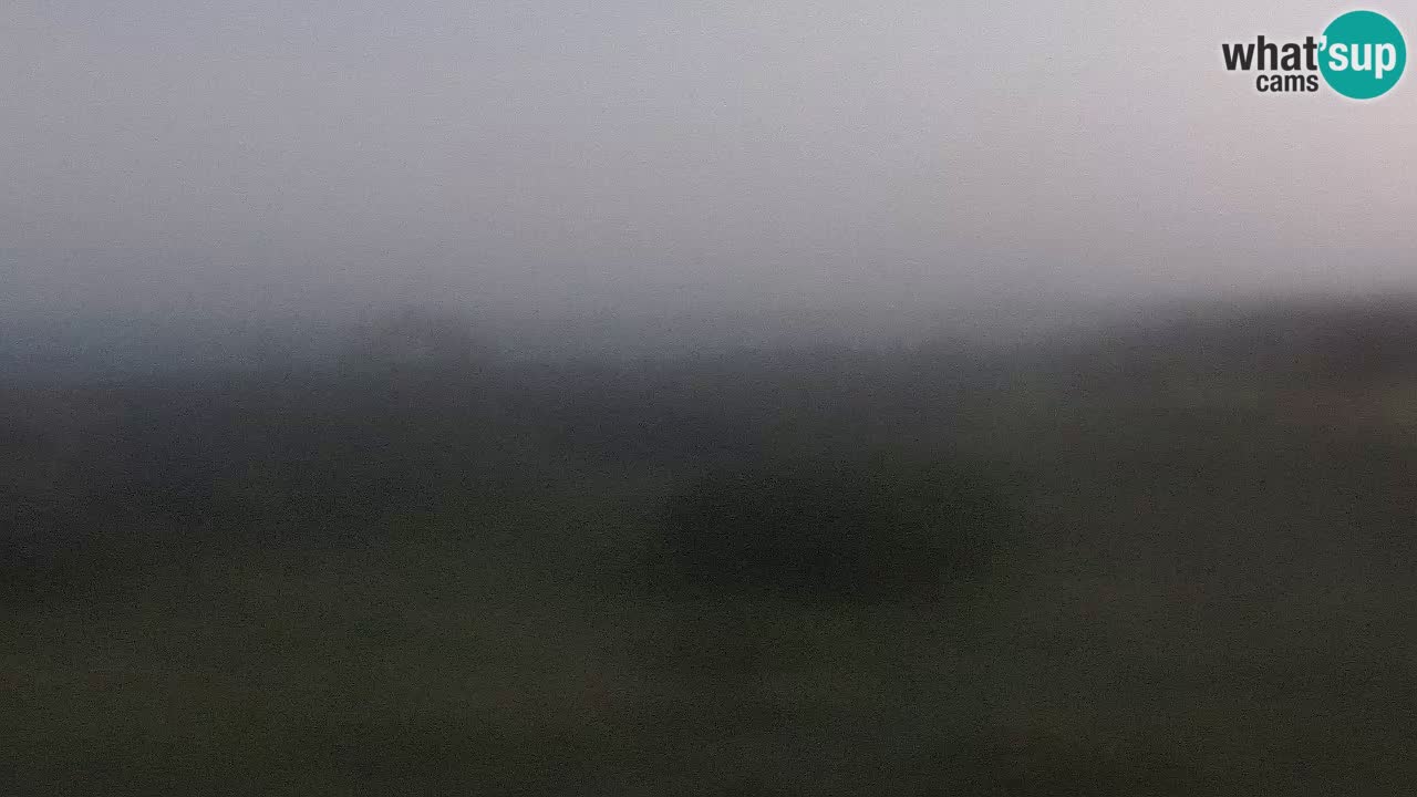 Plage Mari Ermi | Is Arutas – Oristano