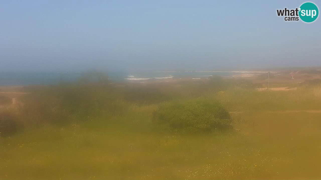 Mari Ermi Strand | Is Arutas – Oristano