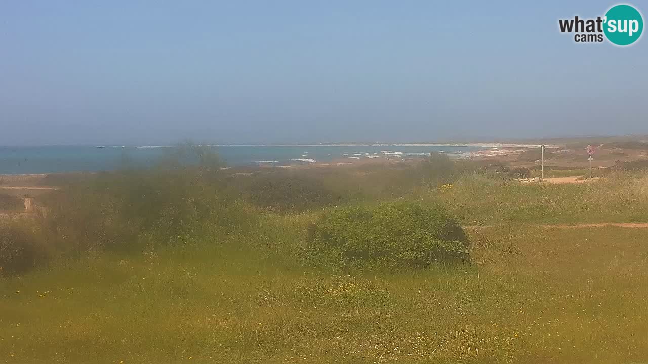 Playa Mari Ermi | Is Arutas – Oristano