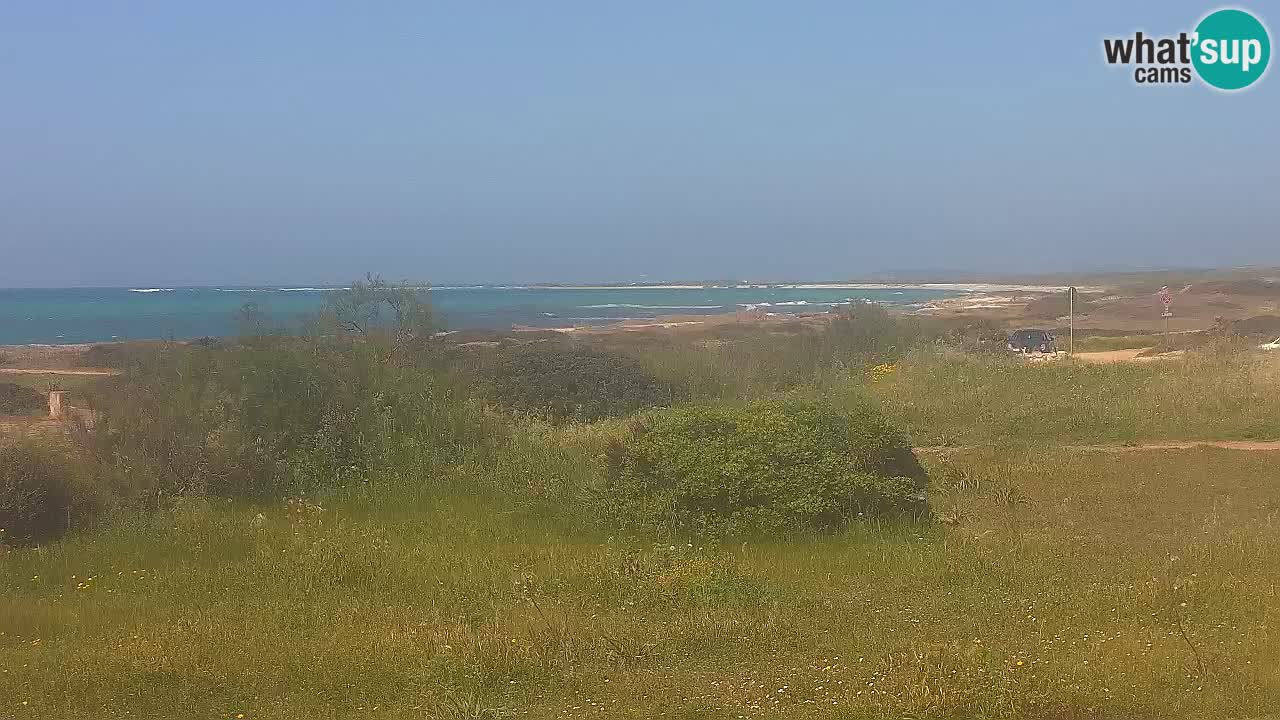 Plaža Mari Ermi | Is Arutas – Oristano