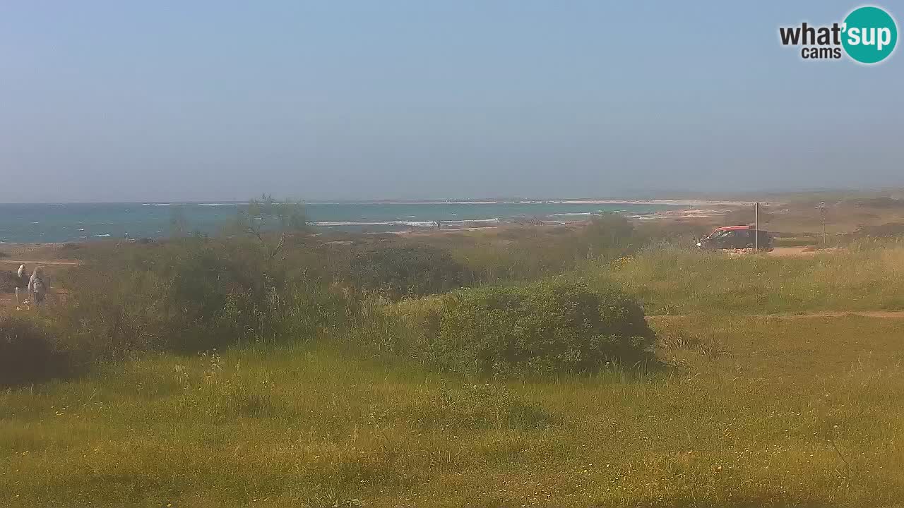 Plaža Mari Ermi | Is Arutas – Oristano