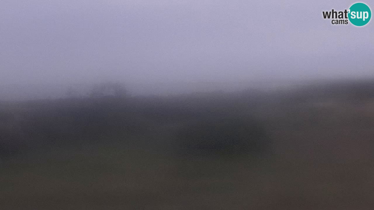 Mari Ermi beach | Is Arutas – Oristano