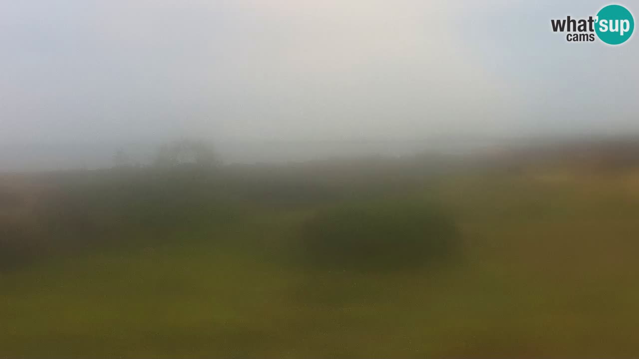 Playa Mari Ermi | Is Arutas – Oristano