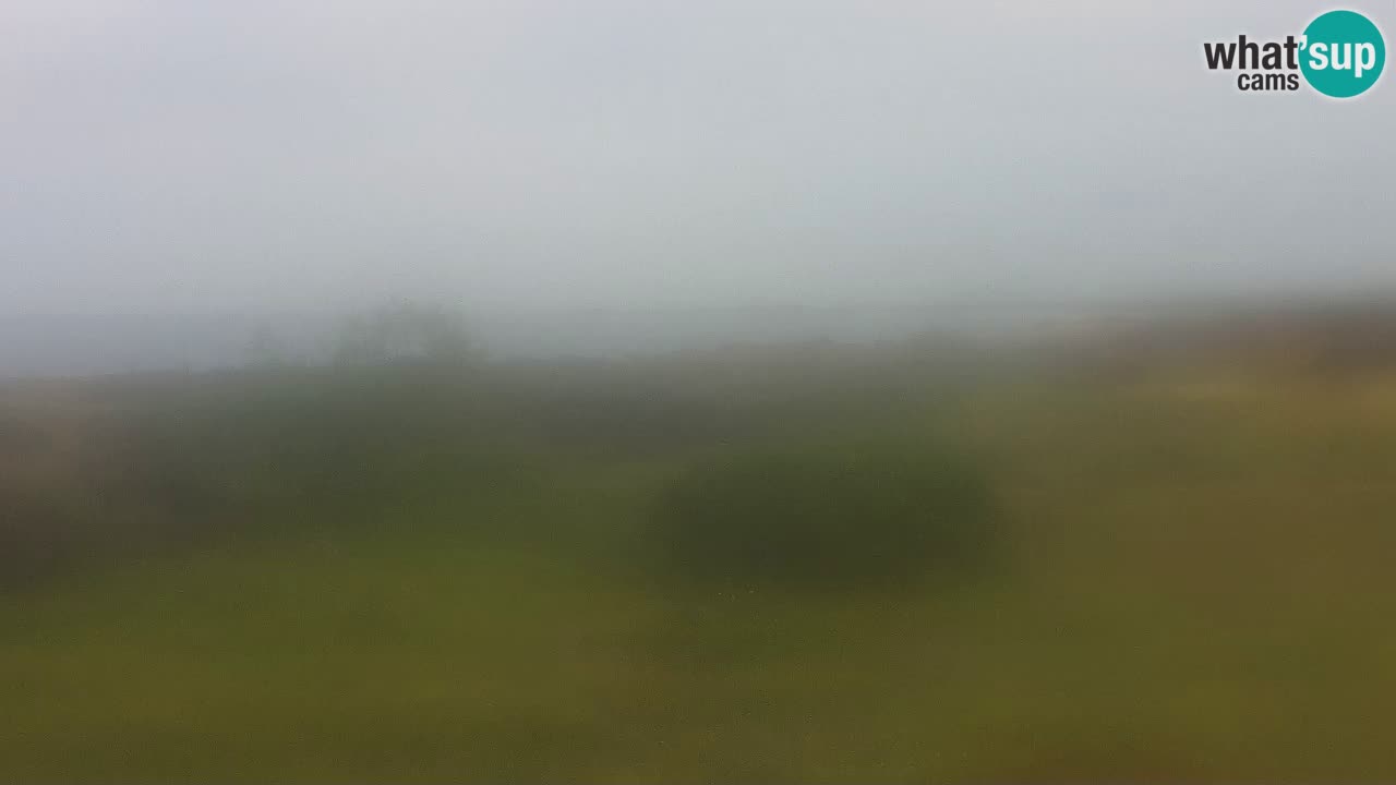 Plaža Mari Ermi | Is Arutas – Oristano