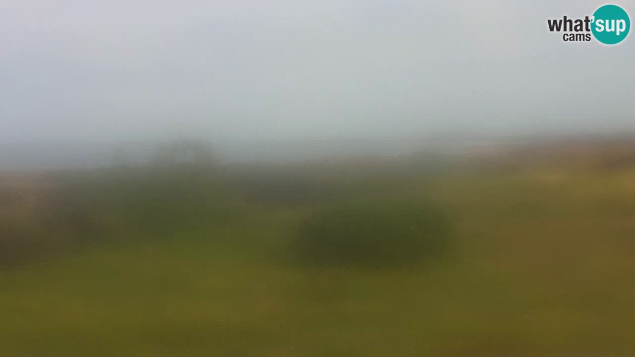 Plaža Mari Ermi | Is Arutas – Oristano