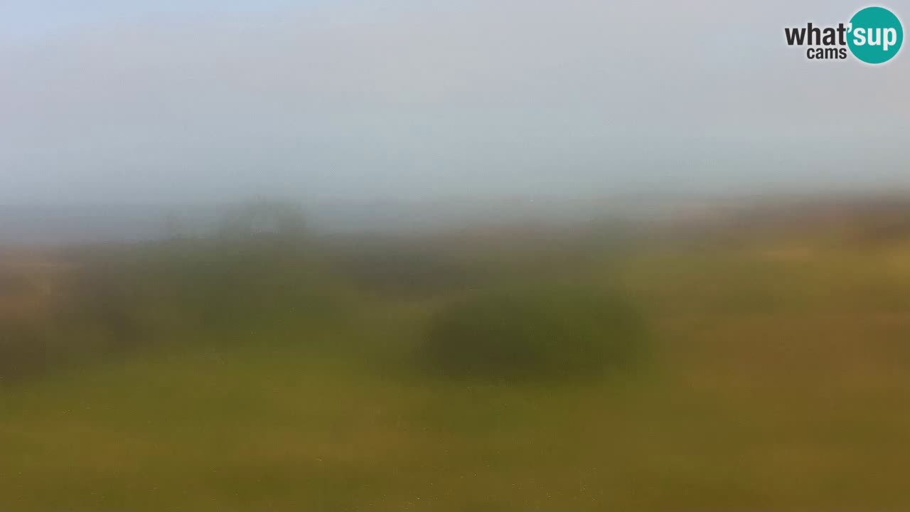 Playa Mari Ermi | Is Arutas – Oristano