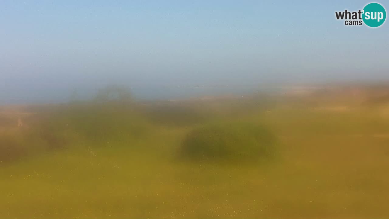 Mari Ermi Strand | Is Arutas – Oristano