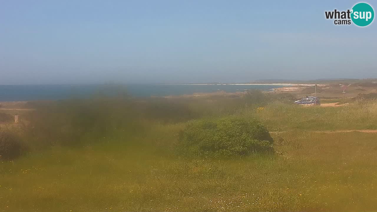 Mari Ermi Strand | Is Arutas – Oristano