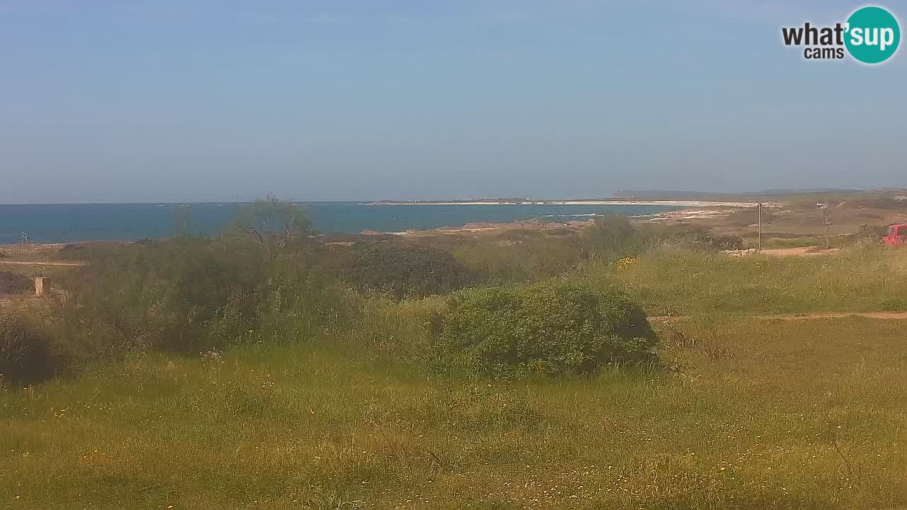 Mari Ermi Strand | Is Arutas – Oristano