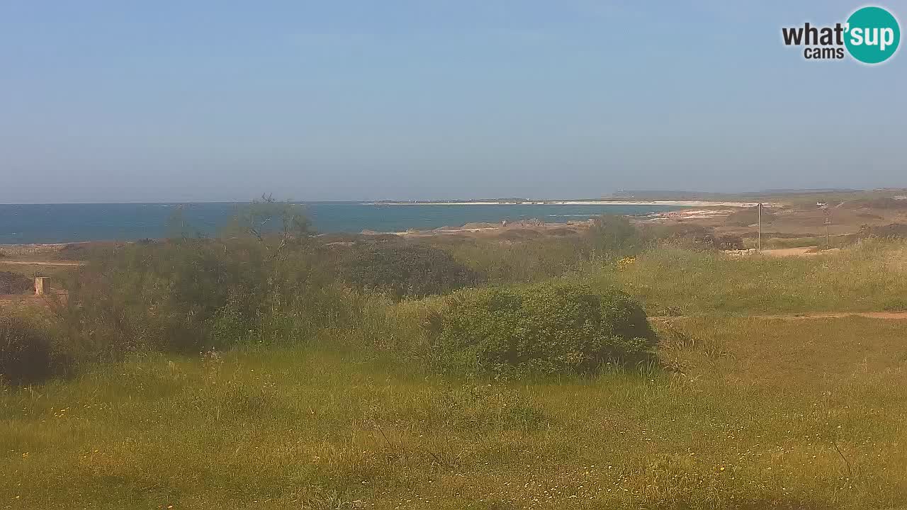 Plaža Mari Ermi | Is Arutas – Oristano