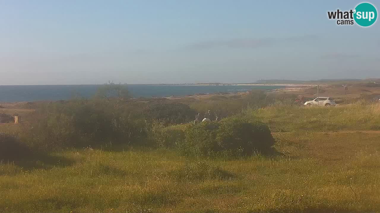 Spiaggia Mari Ermi | Is Arutas – Oristano