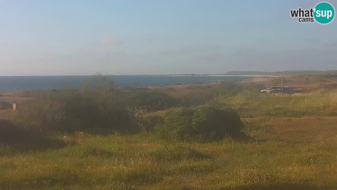Playa Mari Ermi | Is Arutas – Oristano