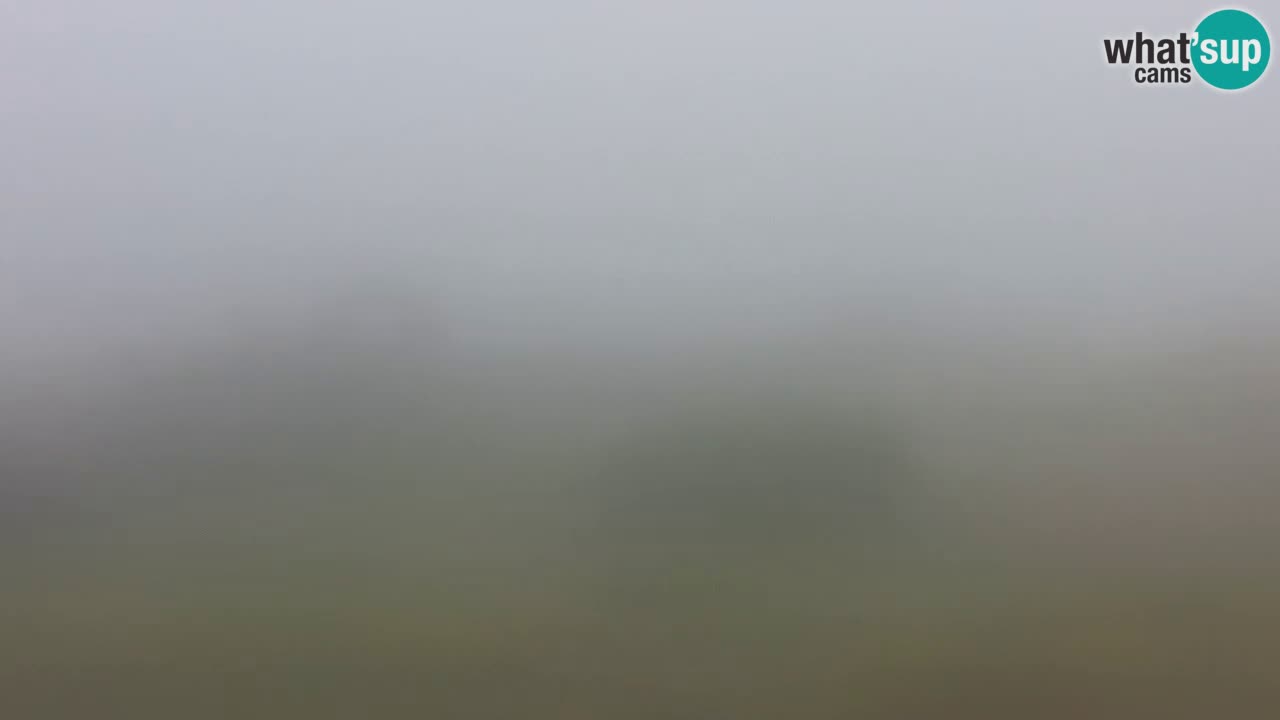 Plage Mari Ermi | Is Arutas – Oristano