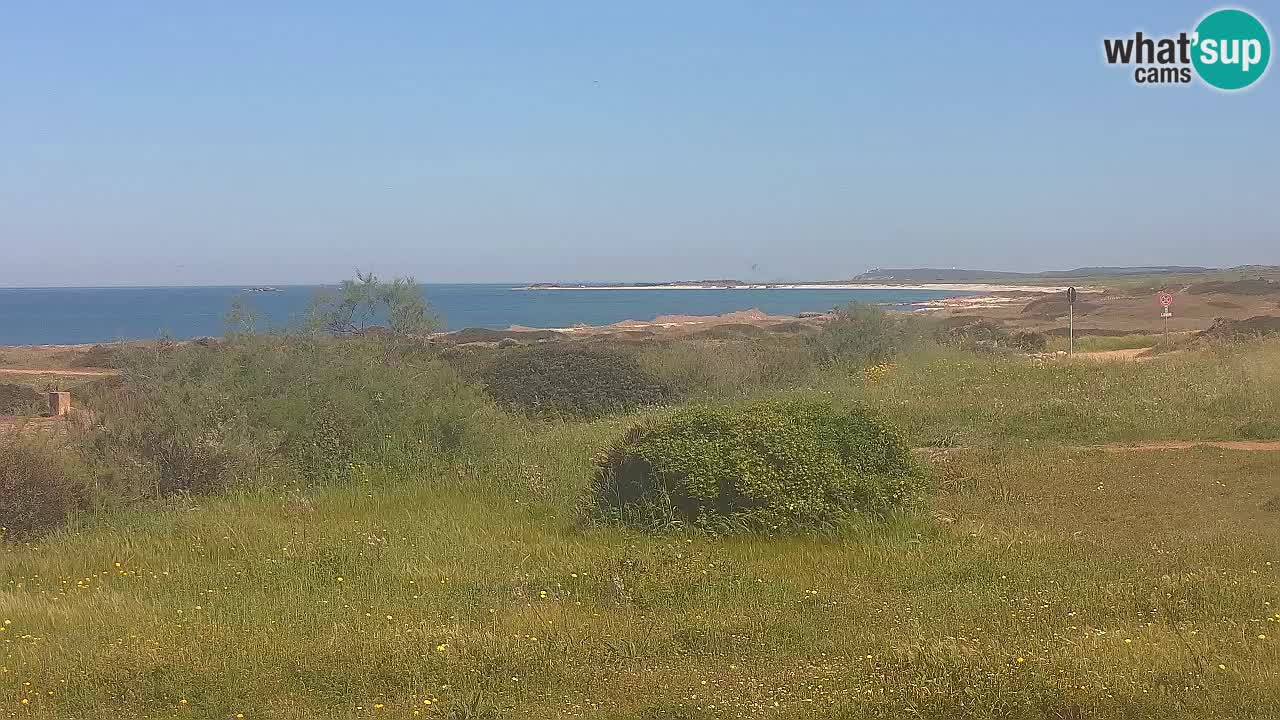 Plaža Mari Ermi | Is Arutas – Oristano