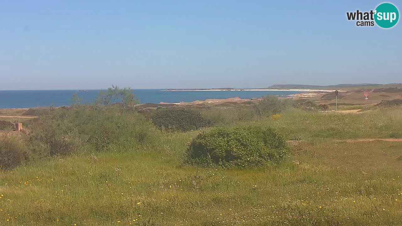 Plage Mari Ermi | Is Arutas – Oristano