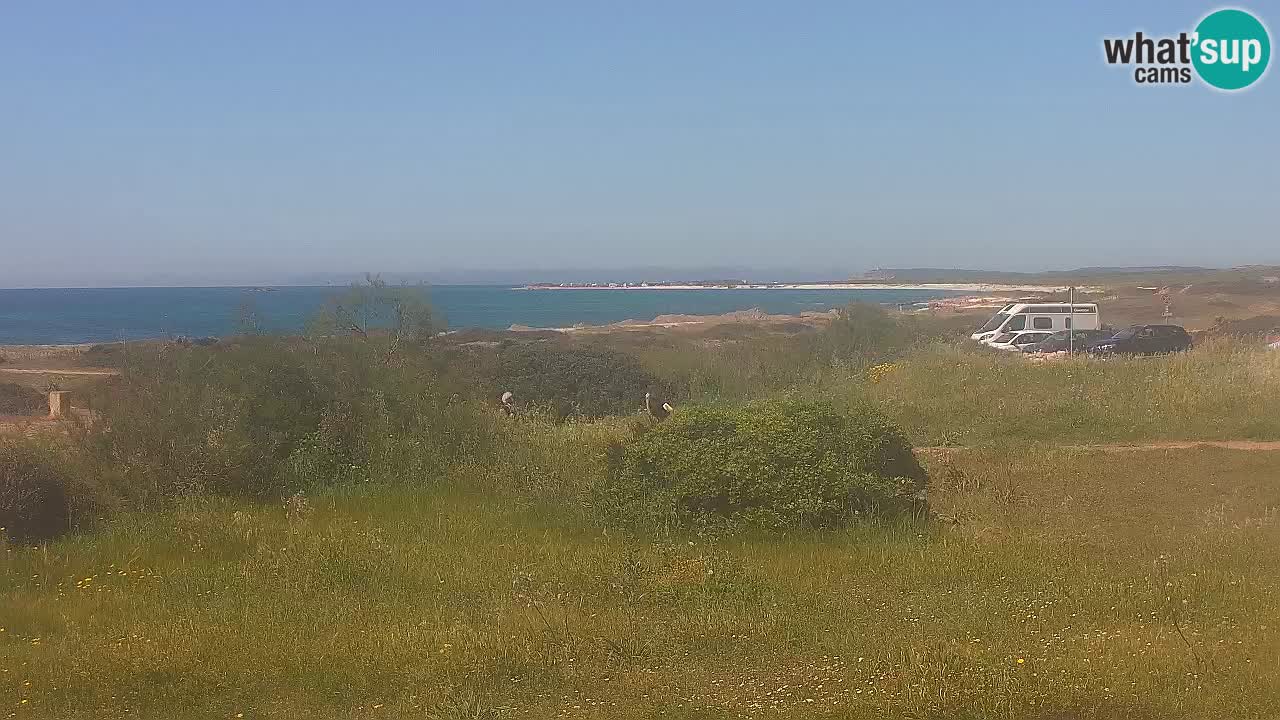Playa Mari Ermi | Is Arutas – Oristano