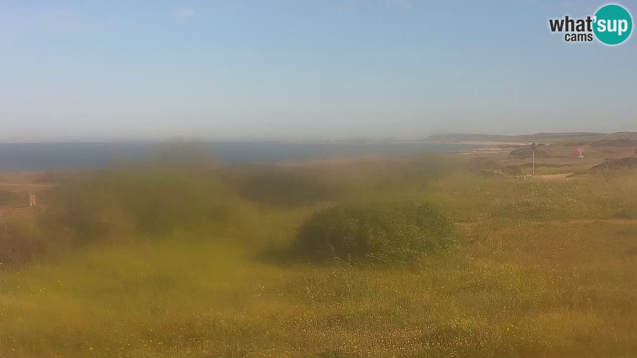 Mari Ermi Strand | Is Arutas – Oristano