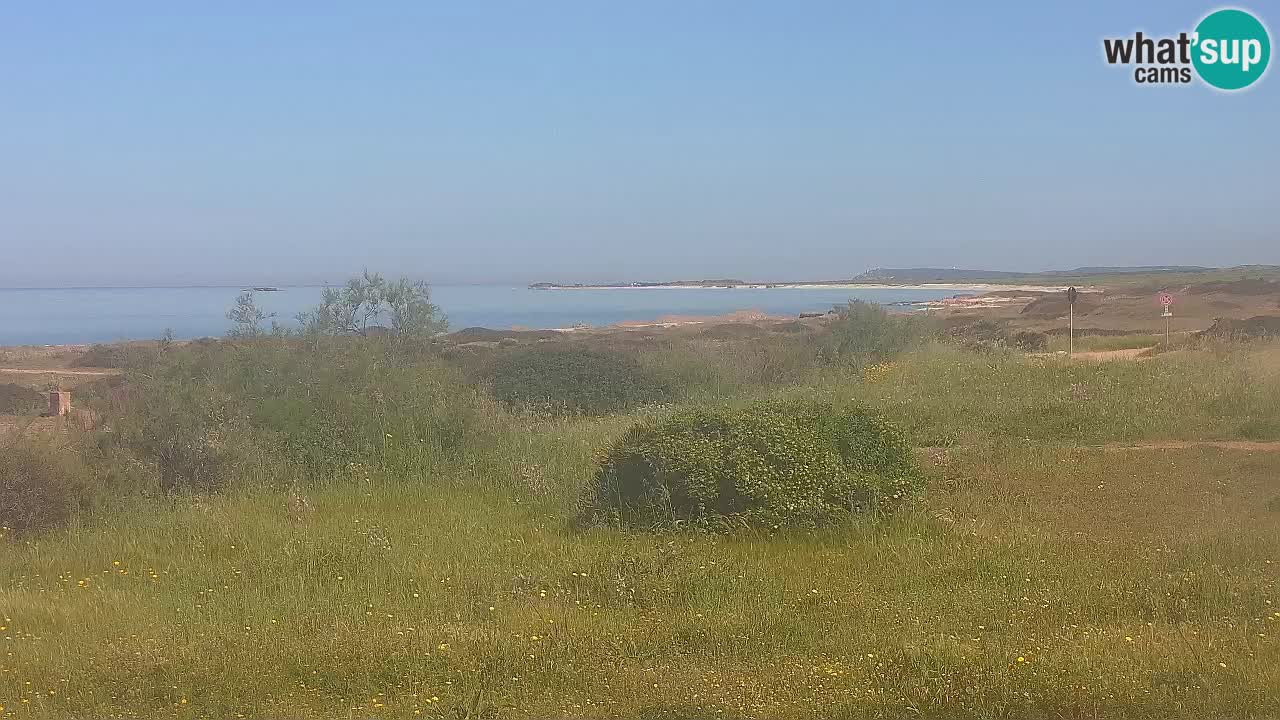 Plaža Mari Ermi | Is Arutas – Oristano