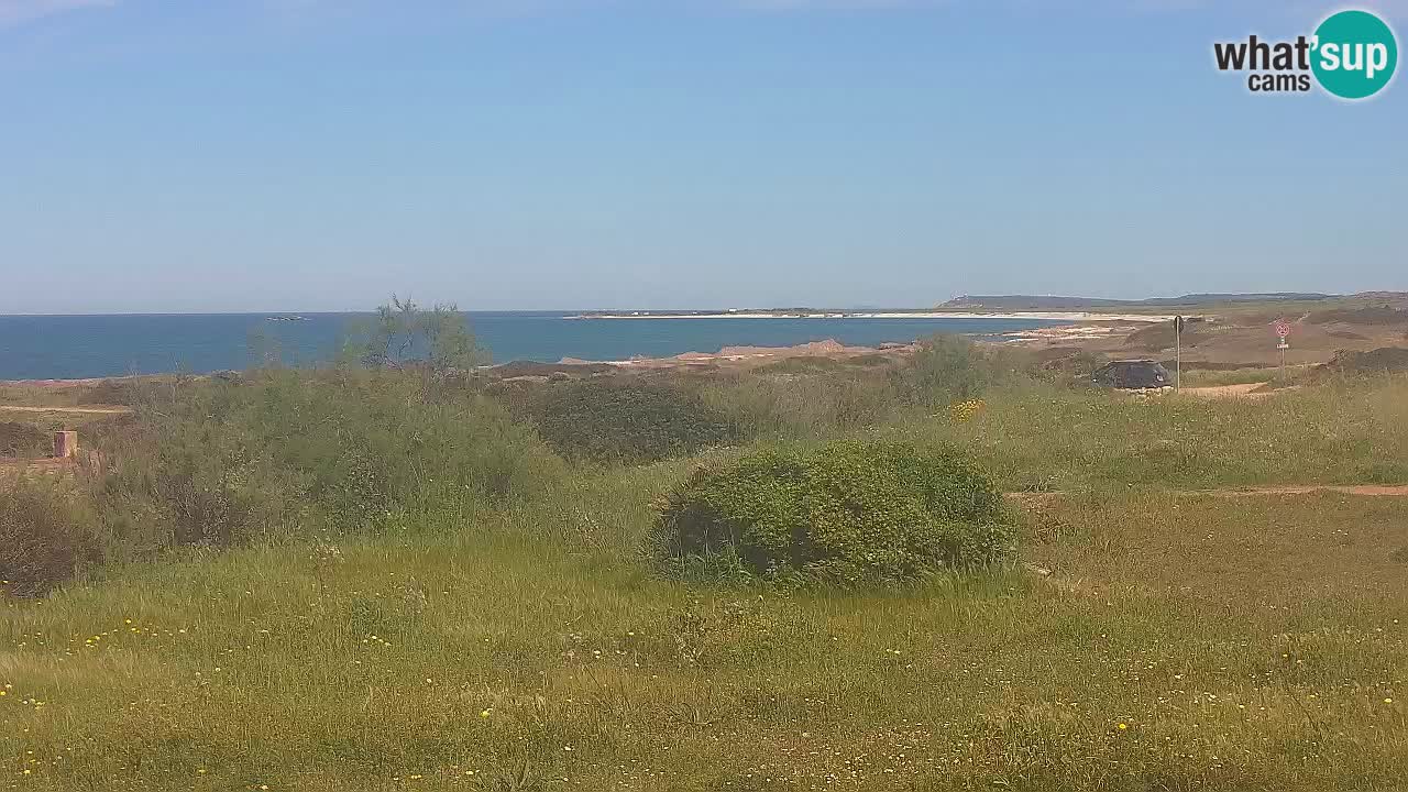Playa Mari Ermi | Is Arutas – Oristano