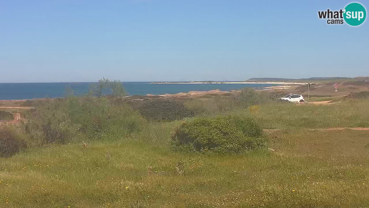 Spiaggia Mari Ermi | Is Arutas – Oristano