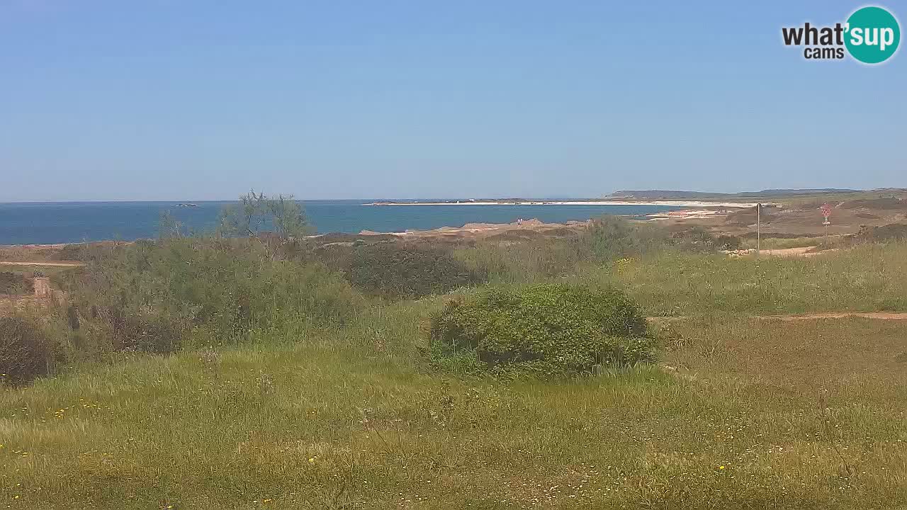 Playa Mari Ermi | Is Arutas – Oristano